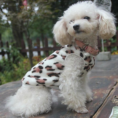 

Cat Dog Sweater Sweatshirt Pajamas Leopard Casual / Daily Outdoor Winter Dog Clothes Puppy Clothes Dog Outfits Black Costume for Girl and Boy Dog Polar Fleece XS S M L XL