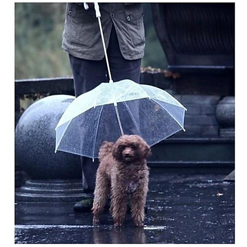 

Transparent Pet Umbrella Dog Keeps Your Pet Dry and Comfortable in Rain
