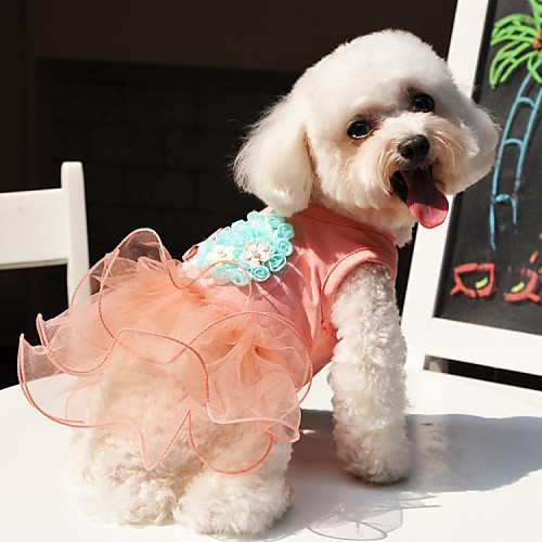 

Dog Dress Dog Clothes Floral / Botanical Rose Blue Cotton Costume For Summer