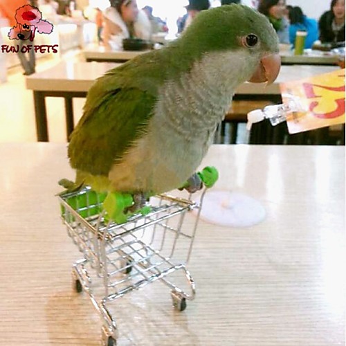 

FUN OF PETSCreative Mini Supermarket Shopping Cart Bird Toy for Birds (Random Colour)
