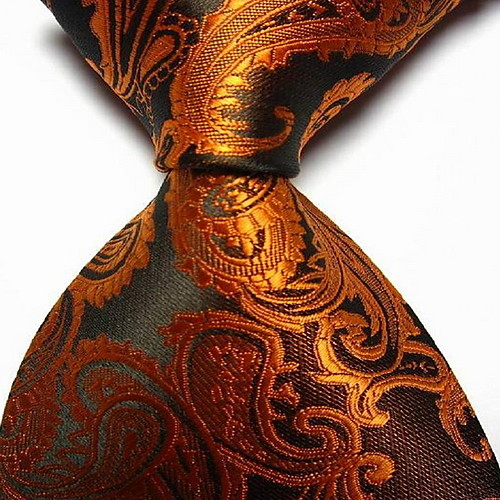 

Men's Party / Work / Basic Necktie - Paisley Print