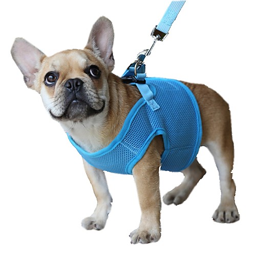 

Cat Dog Harness Mesh Harness Breathable Adjustable / Retractable Safety Solid Colored Mesh Baby Pet Small Dog Black Purple
