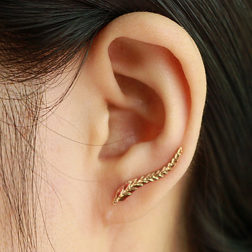 

Women's Stud Earrings Ear Cuff Ear Climbers Leaf Wings Cheap Ladies Fashion Elegant Earrings Jewelry Silver / Golden For Daily Casual