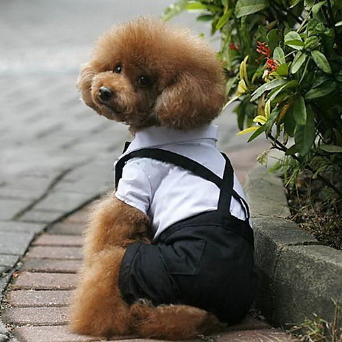 

Dog Costume Tuxedo Winter Dog Clothes Black / White Costume Bichon Frise Schnauzer Pekingese Terylene Color Block Cosplay S M L XL XXL