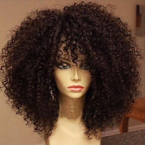 

Human Hair Glueless Full Lace Full Lace Wig style Brazilian Hair Kinky Curly Wig 130% Density with Baby Hair Natural Hairline African American Wig 100% Hand Tied Women's Short Medium Length Long