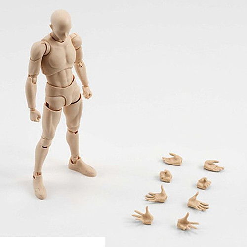 

Display Model Model & Building Toy PVC