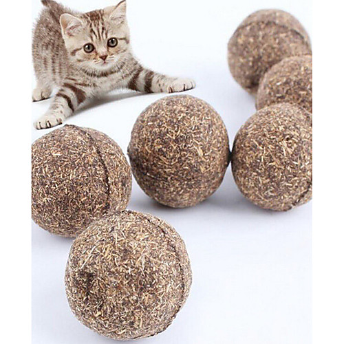 

Cat Teasers Cat Kitten 2 Piece Durable Wood Gift Pet Toy Pet Play
