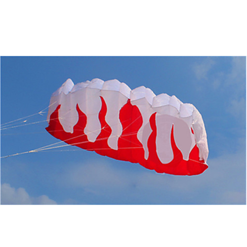 

Kite Nylon Kite Flying Kite Festival Outdoor Beach Park Novelty DIY Big Gift Kid's Adults Men's Women's Unisex