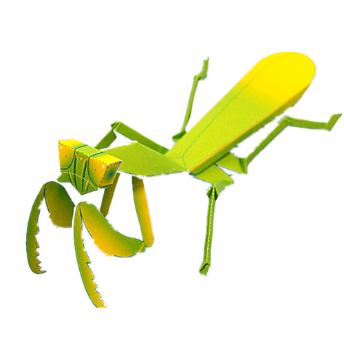 

3D Puzzle Paper Model Model Building Kit Insect Mantis DIY Simulation Classic Kid's Unisex Toy Gift