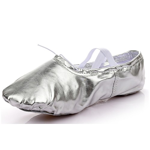 

Women's Dance Shoes Synthetics Ballet Shoes Flat Flat Heel Customizable Gold / Silver / Indoor