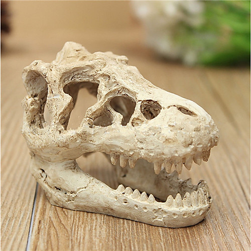 

Resin Aquarium Decoration Crocodile Skull For Fish Tank Resin Dinosaur Resin Skull Reptile And Lizard Artificial Ornament