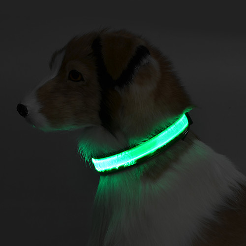 

Dog Collar Reflective LED Lights Solid Colored Terylene Yellow Red
