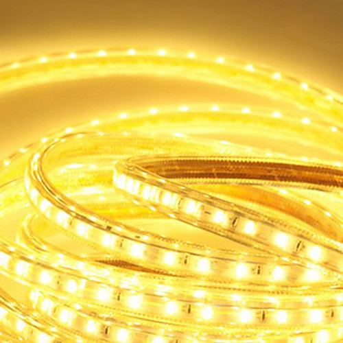 

6m LED Light Strips Flexible Tiktok Lights 360 LEDs 5050 SMD Warm White White Blue Waterproof 220 V IP65