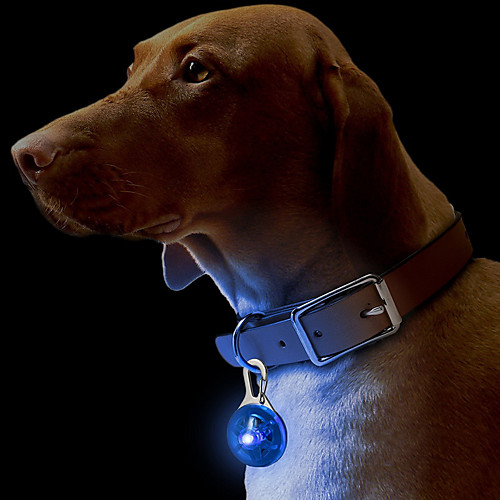 

Cat Dog Collar Tag LED Lights Safety Solid Colored Plastic White Yellow Red Blue Pink