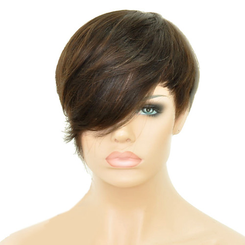 

Human Hair Blend Wig Straight Classic Classic Straight Machine Made Dark Brown#2 Daily