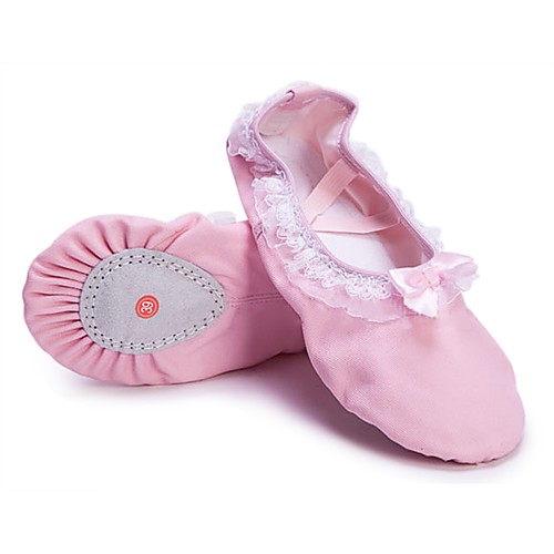 

Girls' Dance Shoes Canvas Ballet Shoes Lace Flat Flat Heel Customizable Pink / Indoor / Practice