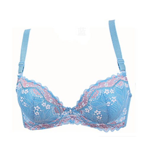 

Women's Push-up Underwire Bra 3/4 Cup Bra Floral Embroidered Daily Going out Red Blue