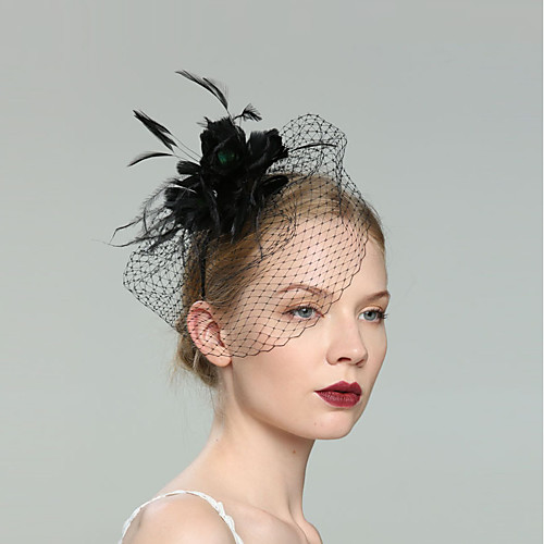 

Feathers Fascinators with Net 1pc Wedding / Special Occasion Headpiece