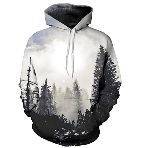 

Men's Hoodie 3D Print Hooded Basic / Chinoiserie Long Sleeve Gray S M L XL XXL XXXL / Fall
