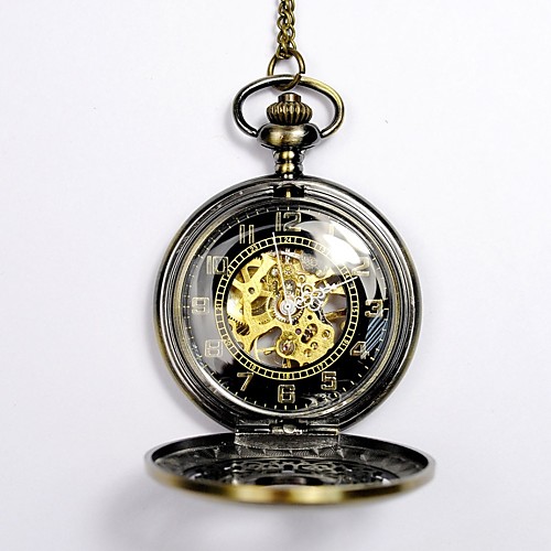 

Men's Skeleton Watch Pocket Watch Automatic self-winding Gold Hollow Engraving Casual Watch Skull Analog Skull Fashion Steampunk Aristo - Gold