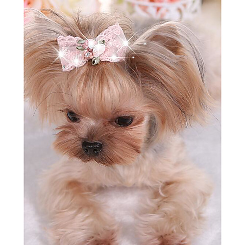 

Dog Cat Hair Accessories Puppy Clothes Bowknot Crystal / Rhinestone Lace Stylish Casual / Daily Dog Clothes Puppy Clothes Dog Outfits Yellow Blue Pink Costume for Girl and Boy Dog Fabric