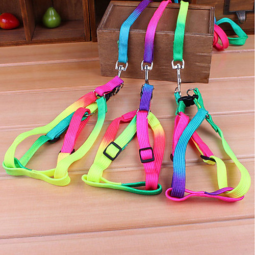 

Dog Leash Walking Wearable Cute and Cuddly Safety Rainbow Polyester Rainbow