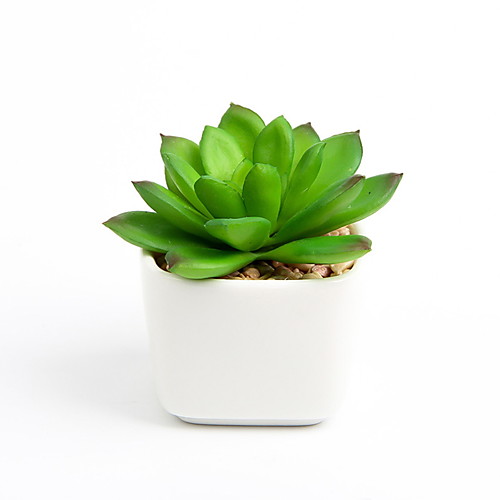 

Artificial Plants Modern Contemporary Tabletop Flower 1