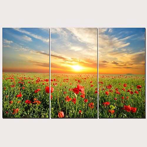 

Print Stretched Canvas Prints - Landscape Traditional Modern Three Panels Art Prints