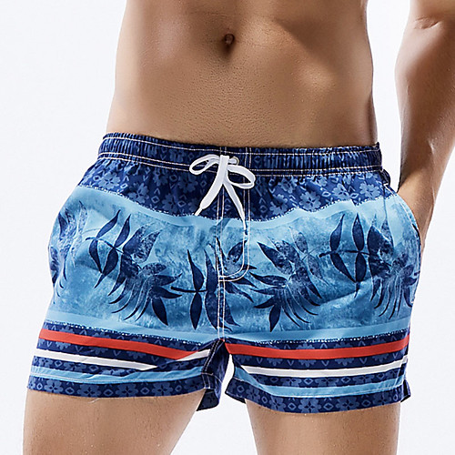 

Men's Swim Shorts Swim Trunks Bottoms UV Sun Protection Quick Dry Drawstring - Swimming Surfing Beach Painting Spring Summer / Micro-elastic