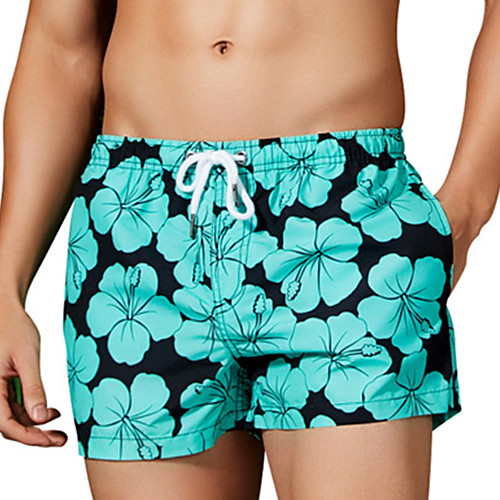 

Men's Swim Shorts Elastane Bottoms UV Sun Protection Quick Dry Swimming Surfing Beach Painting Summer