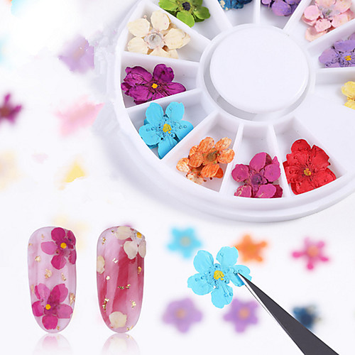 

1 pcs Universal Dried Flower Nail Jewelry For Finger Nail Romantic Series Floral / Botanicals nail art Manicure Pedicure Daily Stylish / Elegant