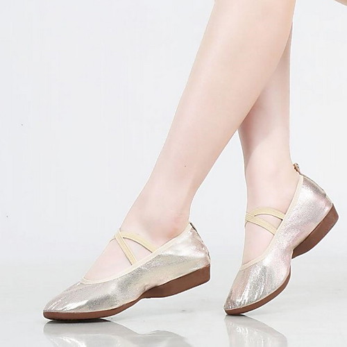 

Women's Ballet Shoes Canvas Flat Flat Heel Customizable Dance Shoes Gold / Silver / Practice