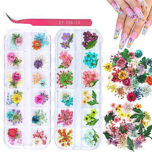 

2 Boxes Dried Flowers for Nail Art KISSBUTY 24 Colors Dry Flowers Mini Real Natural Flowers Nail Art Supplies (Gypsophila Flowers Leaves)