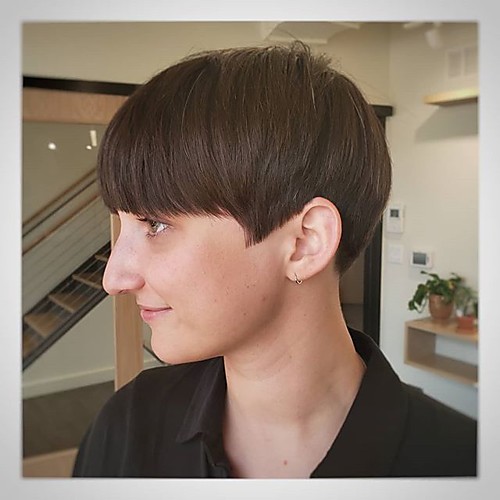 

Human Hair Blend Wig Short Straight Natural Straight Bob Pixie Cut Layered Haircut Asymmetrical Black Burgundy Cool Comfortable Natural Hairline Capless All Unisex Dark Wine Natural Black Beige