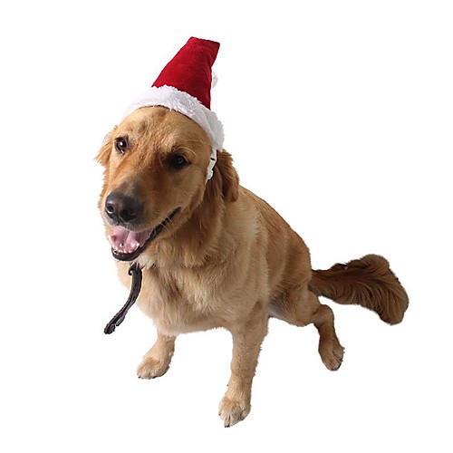 

Dog Cat Ornaments Hair Accessories Puppy Clothes Solid Colored Christmas Cosplay Headpieces Christmas Party Winter Dog Clothes Puppy Clothes Dog Outfits Red Costume for Girl and Boy Dog Terylene Plush