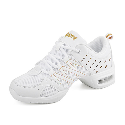 

Women's Dance Shoes Mesh Dance Sneakers Sneaker Flat Heel Black / White