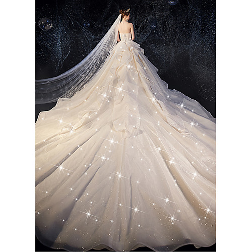 

Ball Gown Wedding Dresses Strapless Watteau Train Tulle Strapless Glamorous Plus Size with Bow(s) Ruched Cascading Ruffles 2021