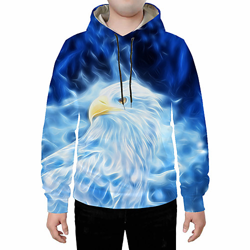

Men's Hoodie 3D Hooded Daily Basic Hoodies Sweatshirts Rainbow