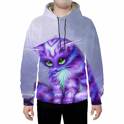 

Men's Hoodie 3D Daily Basic Hoodies Sweatshirts Rainbow