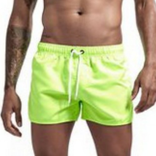 

Men's Plus Size Light Green Bottoms Swimwear Swimsuit - Solid Colored M L XL Light Green