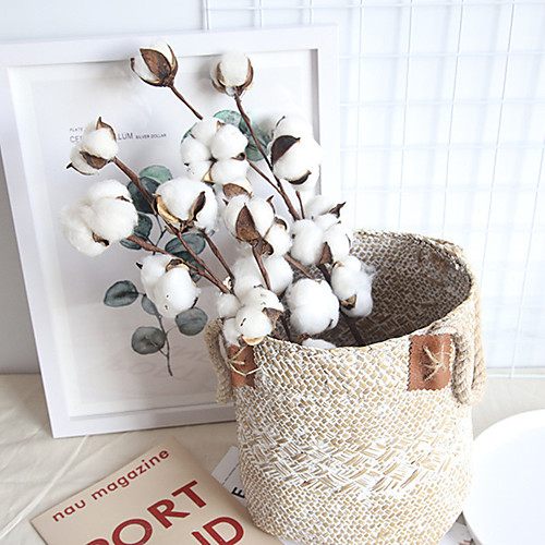 

Real Cotton Home Decoration Wedding ins Air Dried Flower Home Decoration