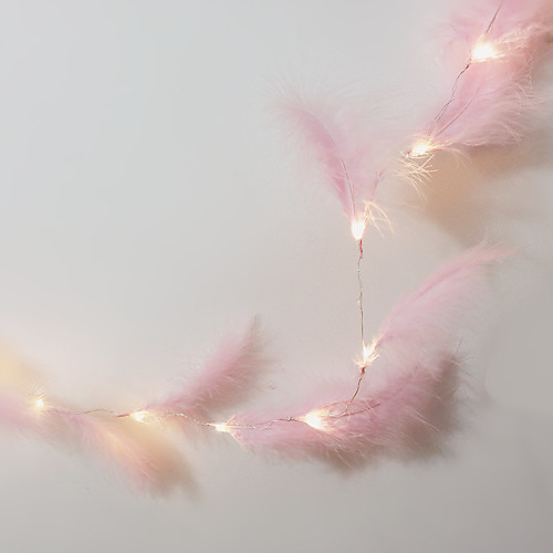 

2m LED Feather Copper Wire Light String Turkey Feather String Light Lantern Ins Girl Heart Battery Light String Decoration