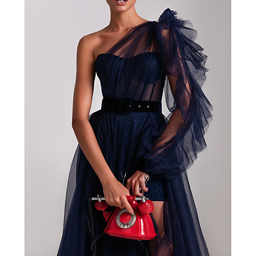 

A-Line Empire Sexy Engagement Formal Evening Dress One Shoulder Long Sleeve Court Train Tulle with Ruffles Split 2021