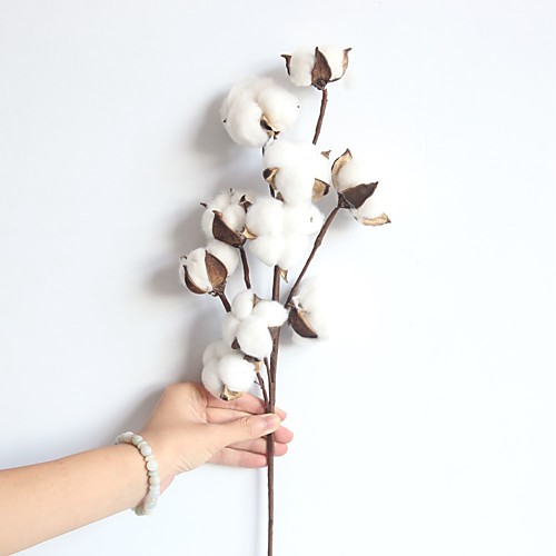 

1 Branch Natural Dry Cotton Branch Home Decor Living Room Creative Display Artificial Flowers