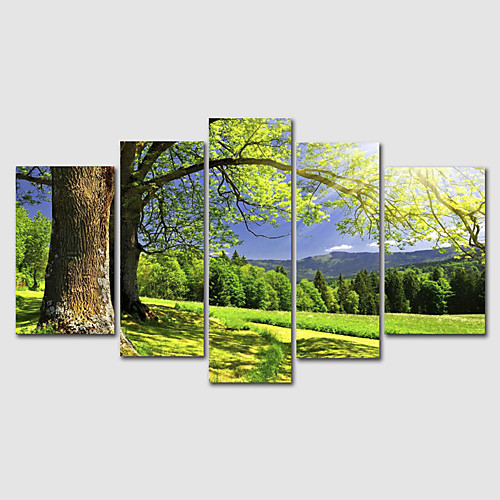 

Print Rolled Canvas Prints Modern Landscape set of 5 pcs without Frame Art Prints