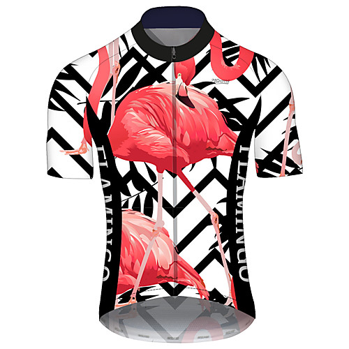 

21Grams Men's Short Sleeve Cycling Jersey Black / Red Stripes Flamingo Floral Botanical Bike Jersey Top Mountain Bike MTB Road Bike Cycling UV Resistant Quick Dry Breathable Sports Clothing Apparel