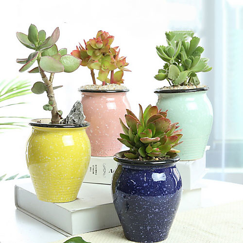 

6 Pack Small Succulent Flower Pot Ceramic Special Offer Clearance Succulent Plant Stoneware Retro Vegetarian Burning Creative Personality Small Flower Pot Large Caliber