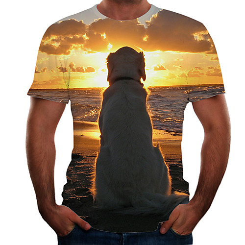 

Men's Plus Size Color Block 3D T-shirt Basic Going out Weekend Round Neck Brown / Short Sleeve / Animal