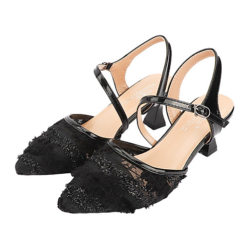 

Women's Sandals Chunky Heel Pointed Toe Lace / Mesh Sexy Summer Black / Beige