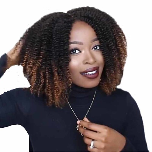 

Synthetic Wig Matte Afro Curly Middle Part Wig Short Black / Brown Synthetic Hair 14 inch Women's Middle Part curling Fluffy Black Brown
